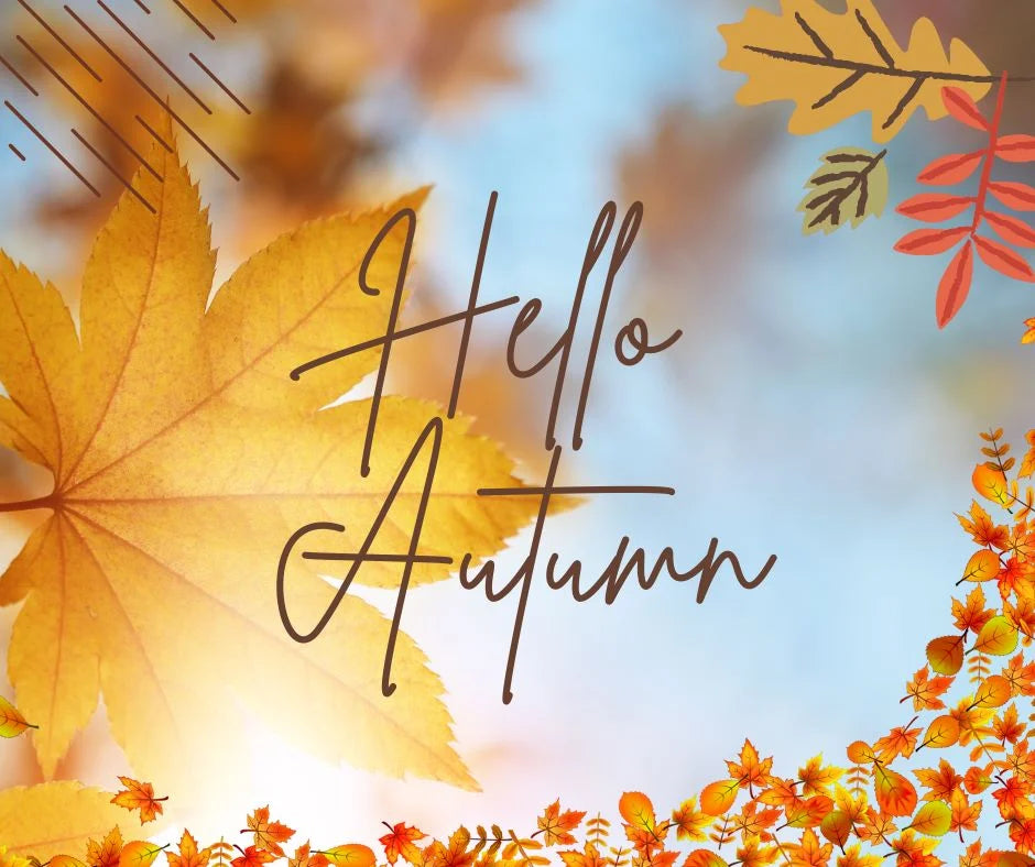 Hello Autumn Blog Cover Image showing autumn leaves