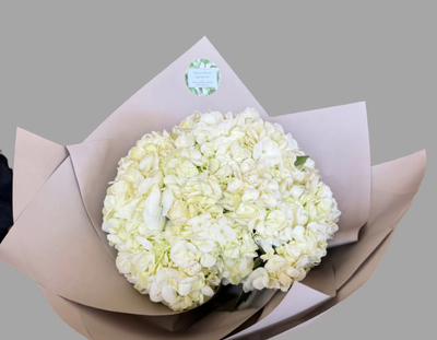 Sympathy Flowers Same Day Delivery | Gifts for Miranda