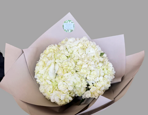 Sympathy delivered in Sydney by Vhouse Florist