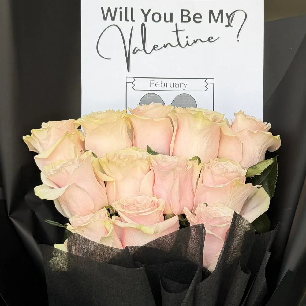 Close-up of 12 pale light pink roses bouquet in black paper with romantic gift card, Sydney same-day luxury light pink rose delivery by Vhouse Florist