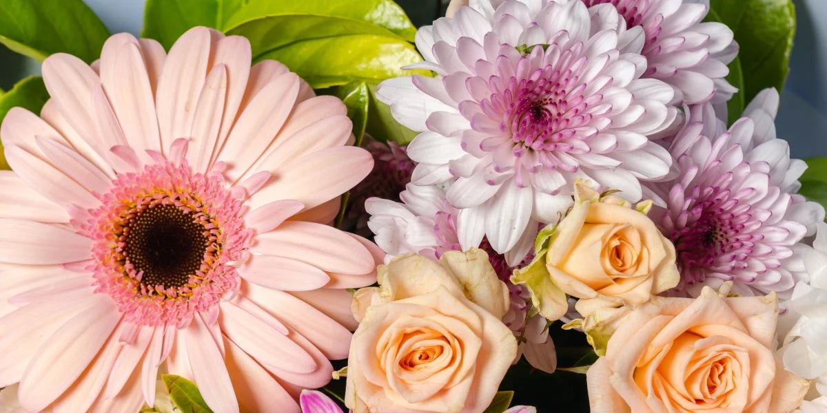 HERO image of pastel pink and peach coloured flowers