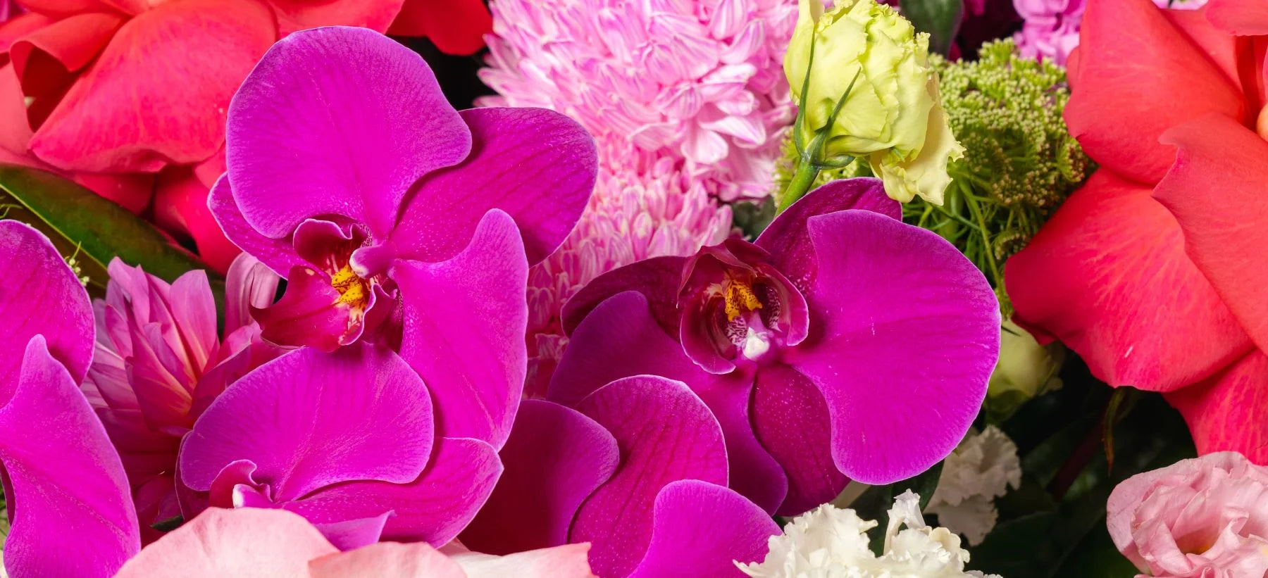 HERO Image of Hot pink Orchids , red roses and pink flowers