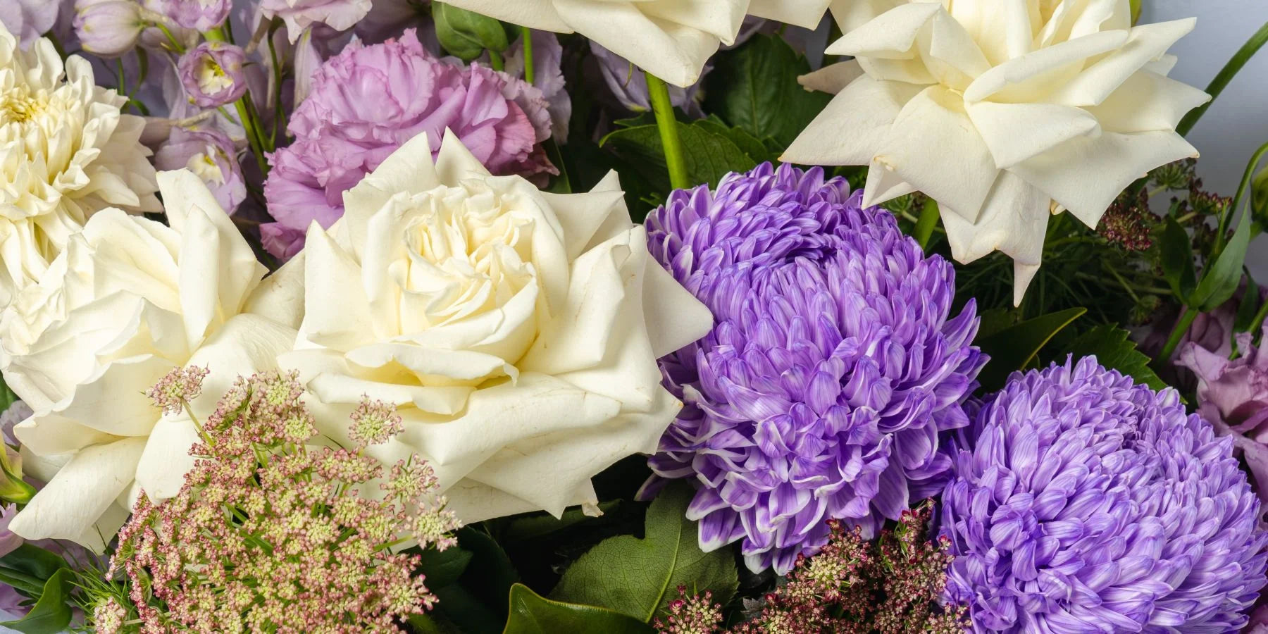 Purple and White Flowers