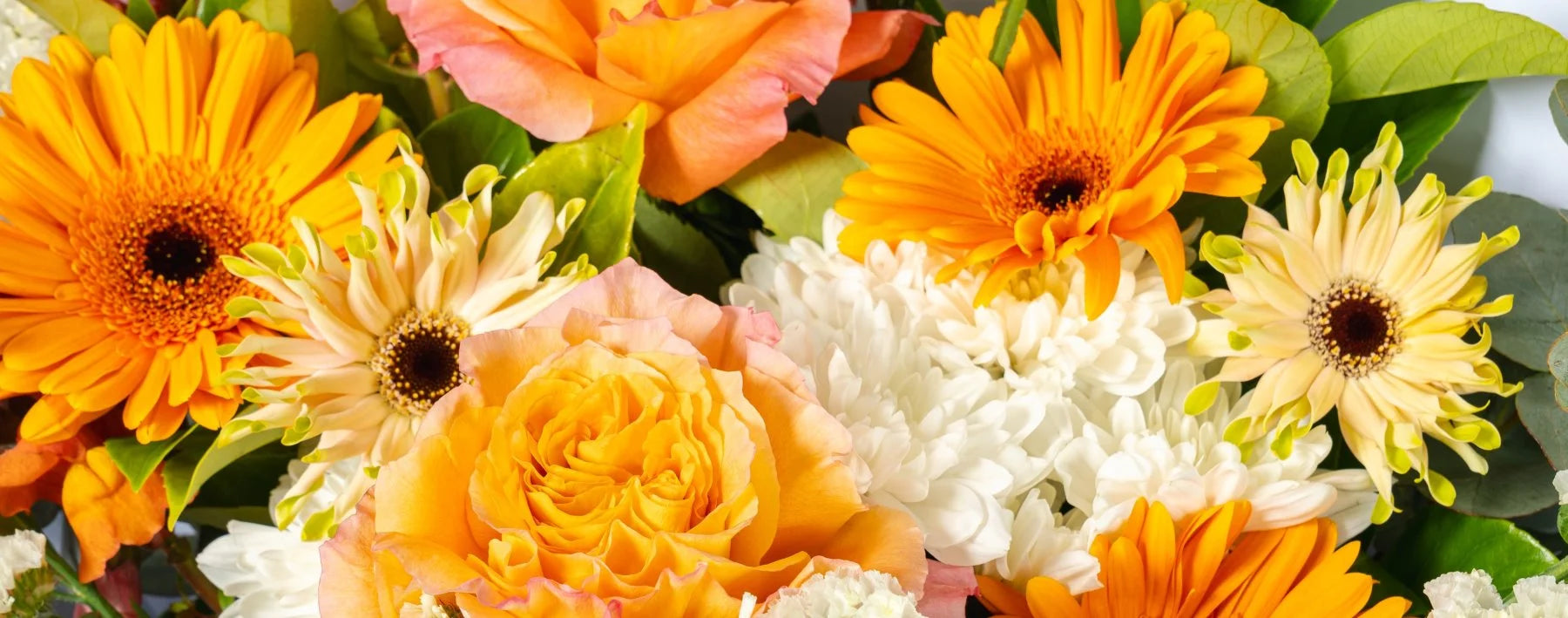 HERO Image of orange, yellow and white flowers with greenery