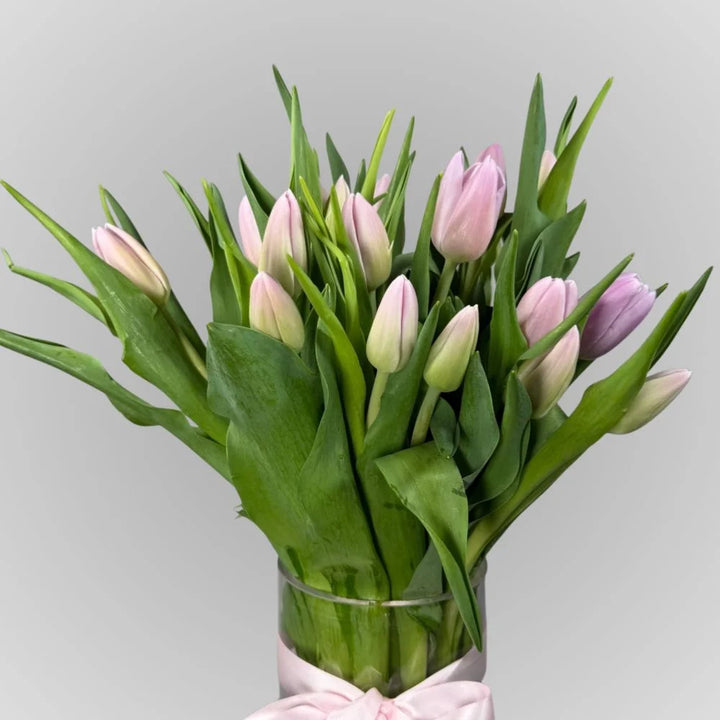Tulip