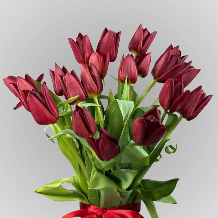 Tulip