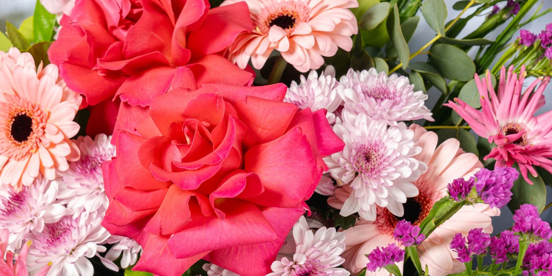 Red and Pink Flower Image