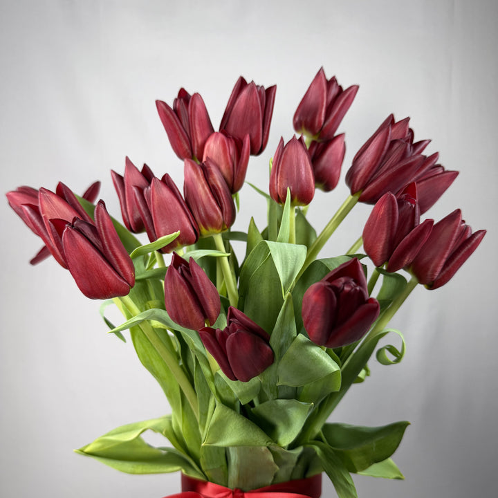 Deep burgundy wine tulips in a glass vase, close-up