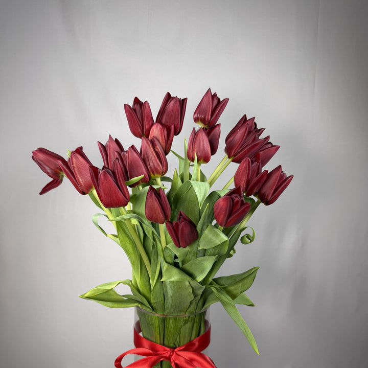 Deep burgundy wine tulips in a glass vase