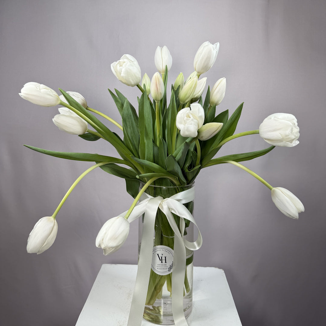 Ivory white tulips in a glass vase, close-up
