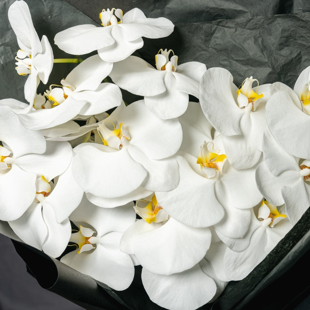 3 stem bouquet of White orchid flowers