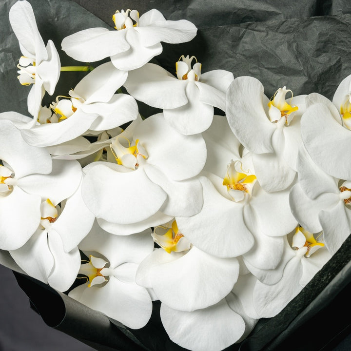 3 stem bouquet of White orchid flowers