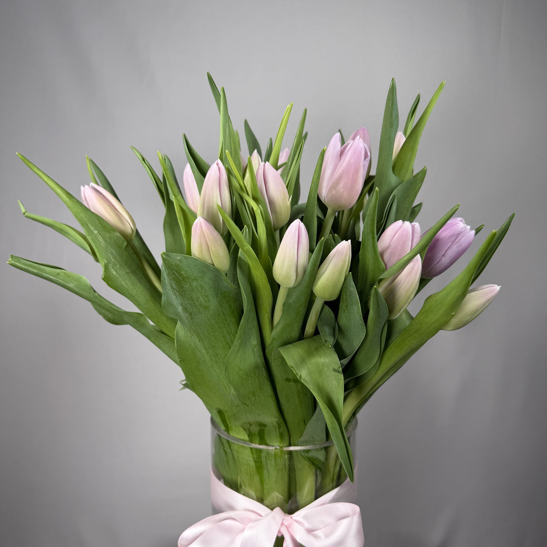Pale blush pink tulips in a glass vase