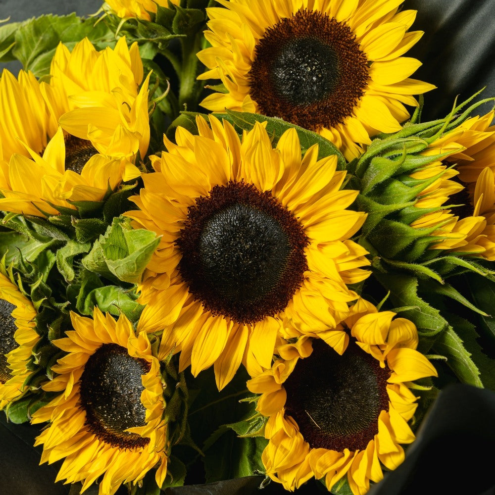 close look of large sunflower bouquet
