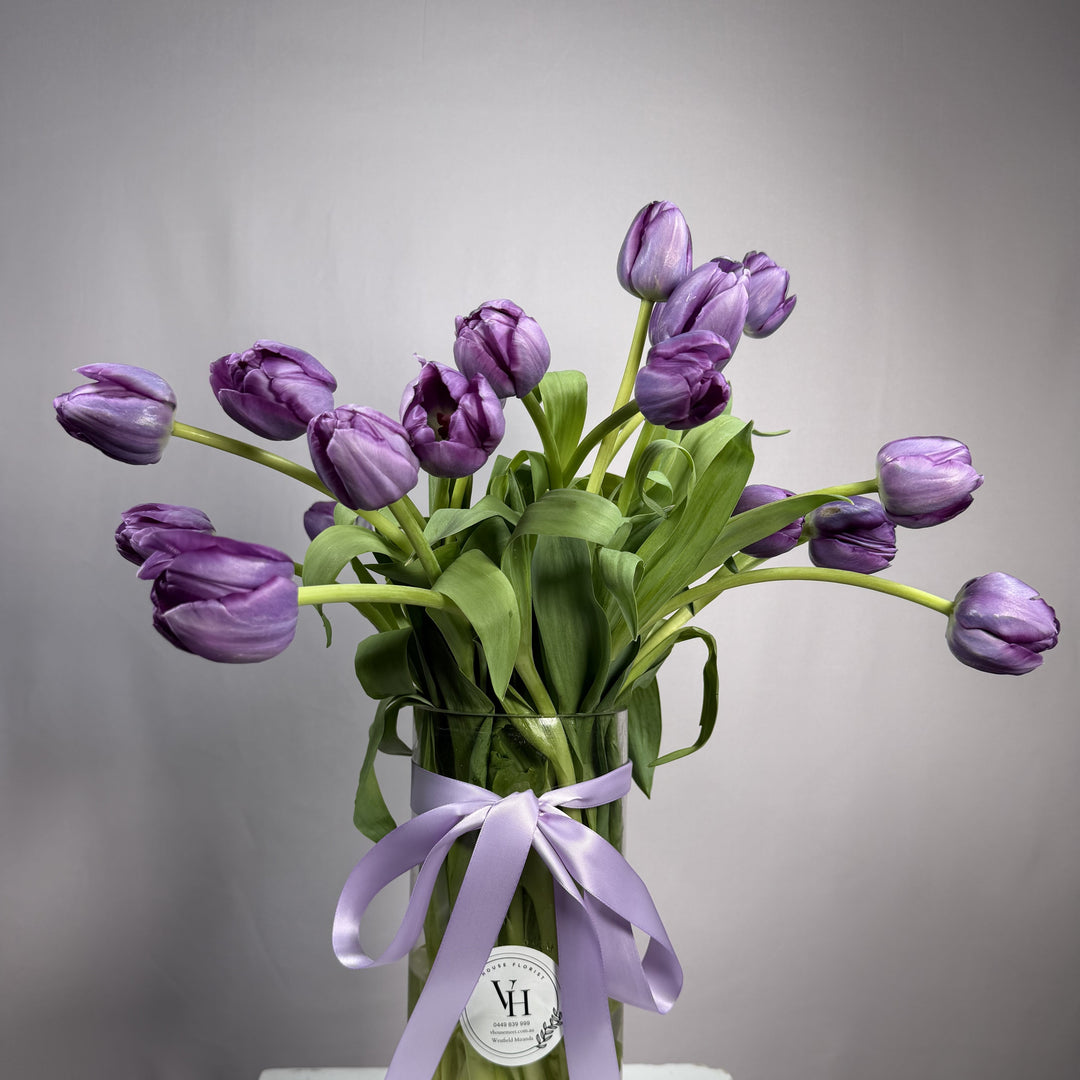 Violet purple tulips in a glass vase