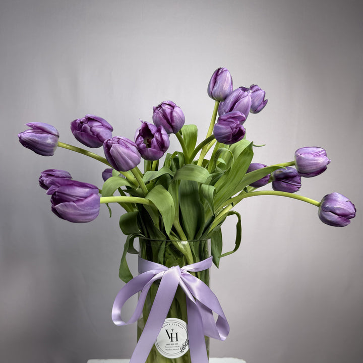 Violet purple tulips in a glass vase